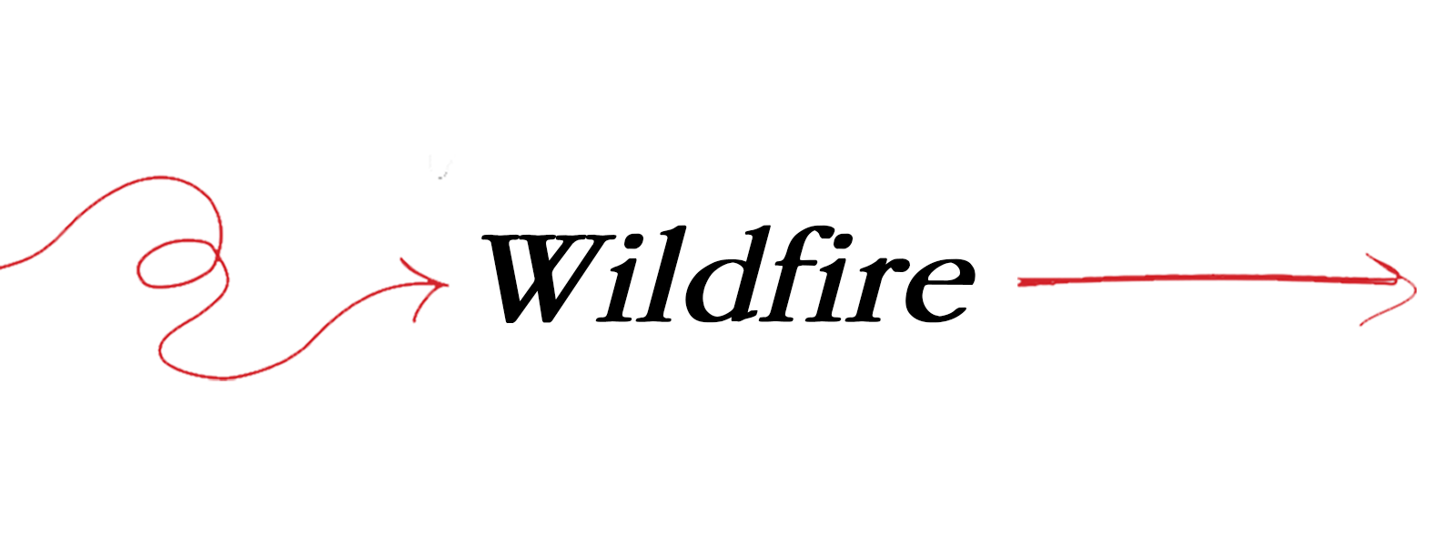 Wildfire show poster