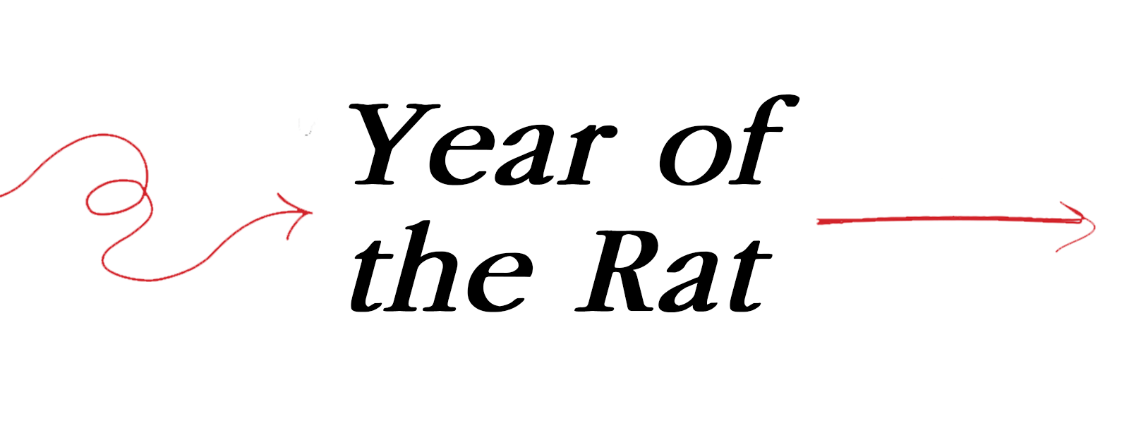 Year of the Rat show poster